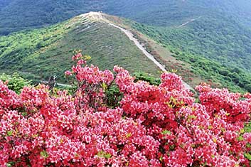 御霊櫃（ごれいびつ）峠