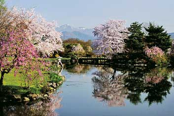 四季の郷緑水苑