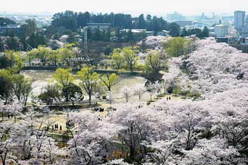 開成山公園